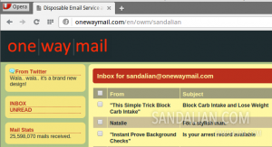 one way mail atau one direction mail